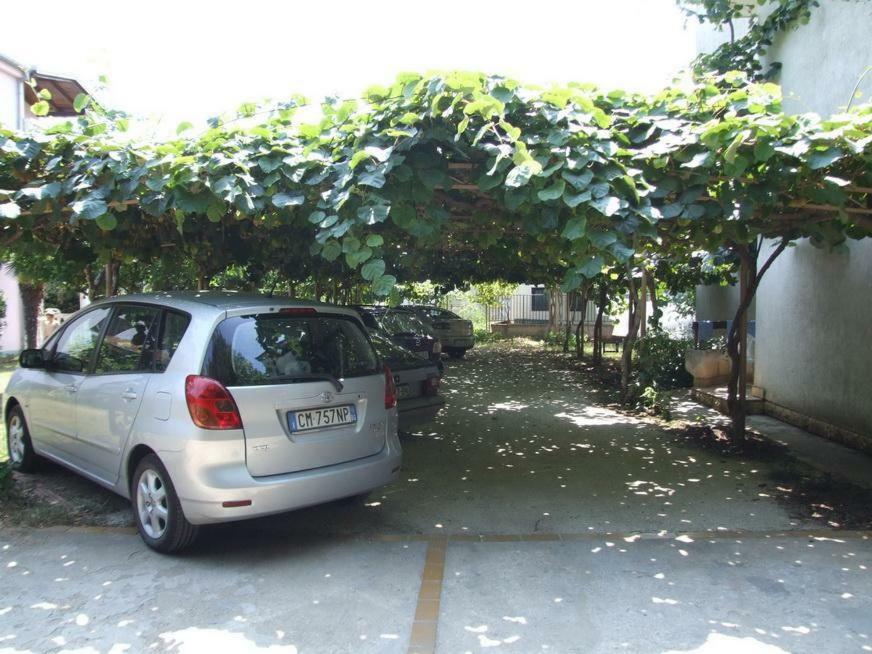 Anita Apartma *